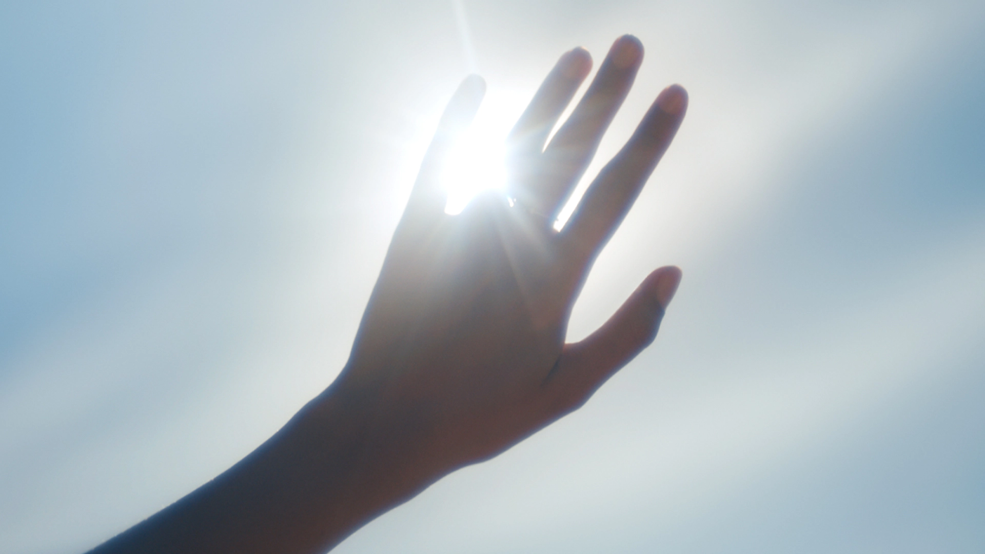 A hand in the sunlight. 